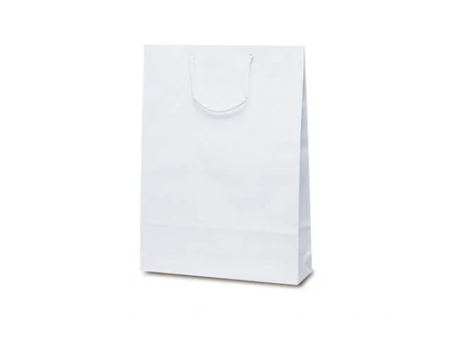 オリジナル紙袋 製作プラン 製作事例と価格：企業資料配布用（A3）　エクセルバッグ