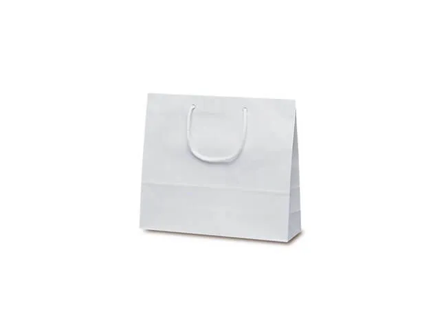オリジナル紙袋 製作プラン 製作事例と価格：アパレルショッパー　ファインバッグ