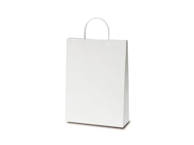 オリジナル紙袋 製作プラン 製作事例と価格：企業資料配布用（A4）　A4ファイルバッグ