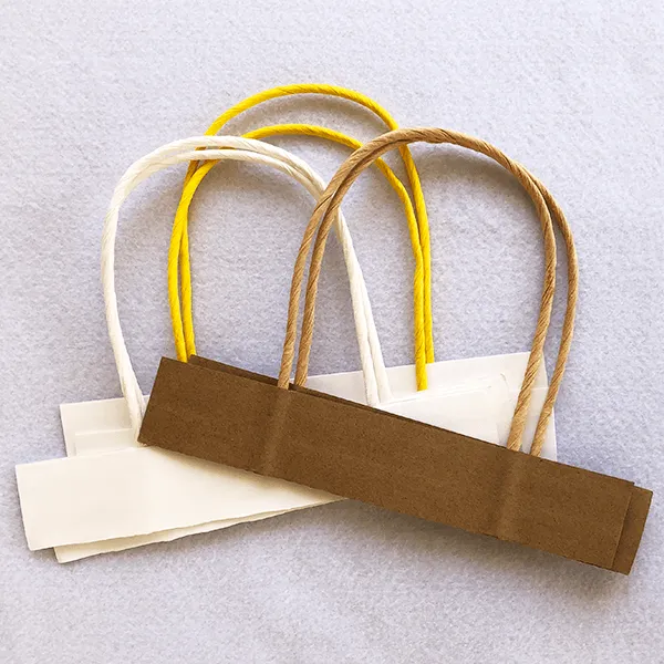 オリジナル紙袋 雑がみ回収できる紙袋 紐：紙ハンドル